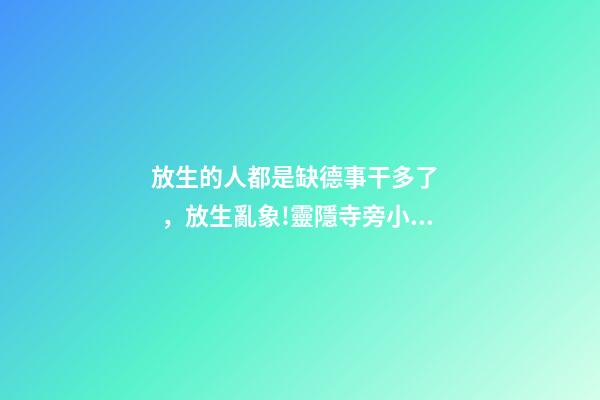 放生的人都是缺德事干多了，放生亂象!靈隱寺旁小溪大量放生烏龜死亡-第1張-觀點(diǎn)-玄機(jī)派